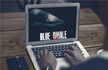 Blue Whale Challenge: 17-year-old boy commits suicide in Panchkula, mother says he was addicted